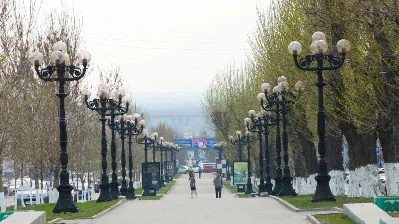     Барнаульцы на аллея на проспекте Ленина. Анна Зайкова