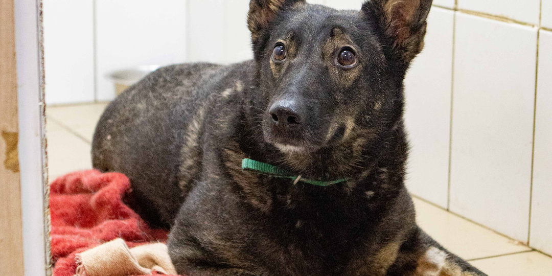 Неужели мы позволим равнодушию разбить ещё одно сердце?