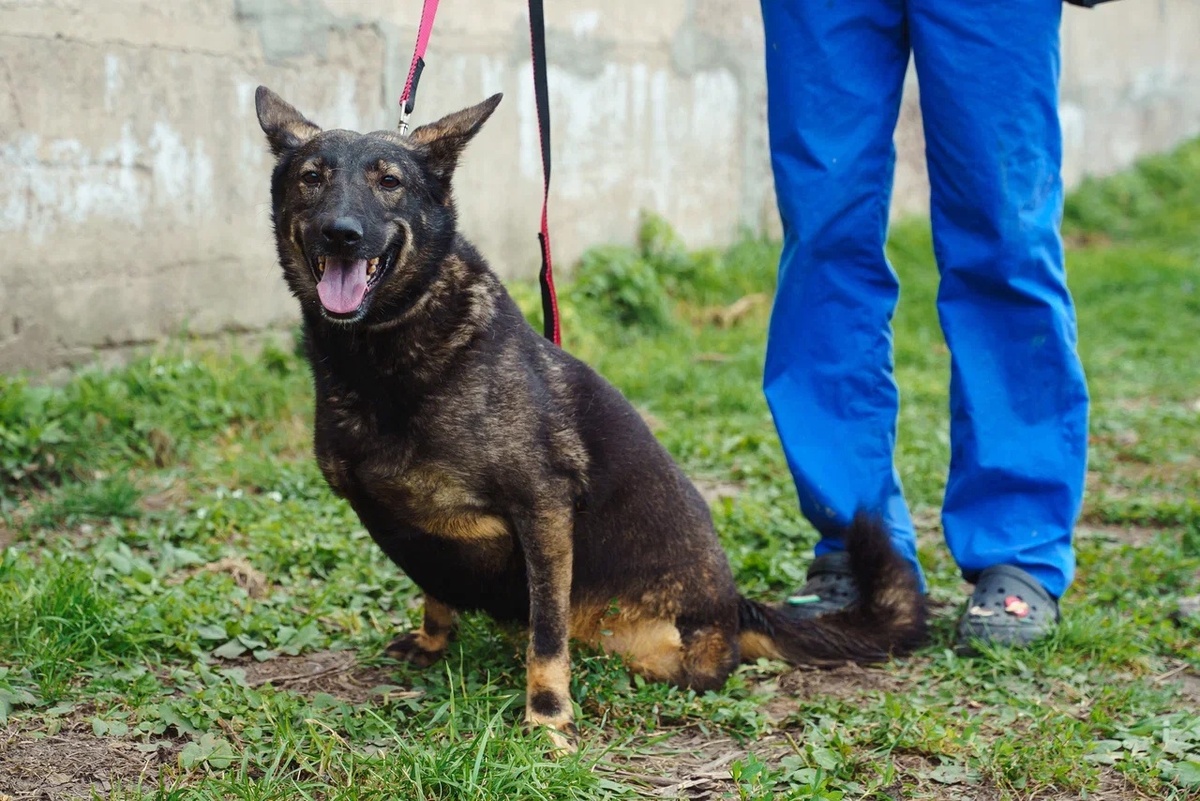 Руна отчаянно мечтает о простом человеческом тепле и заботе.