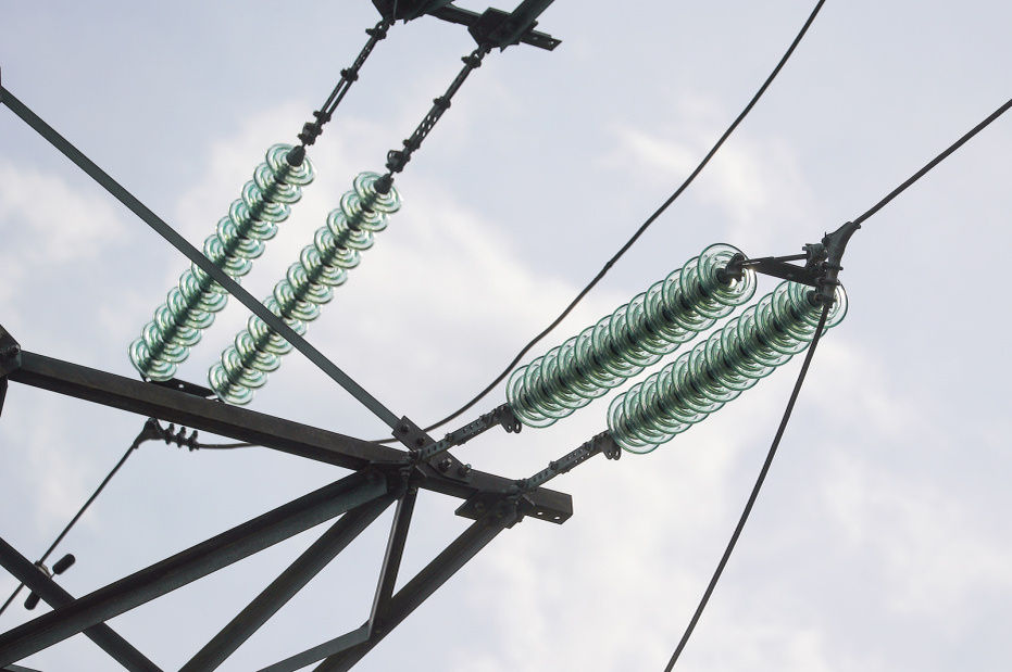    Алексей Белкин/NEWS.ru