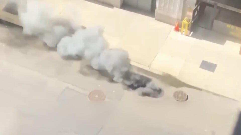 Фото: © Кадр из программы "Как устроен мир", РЕН ТВ