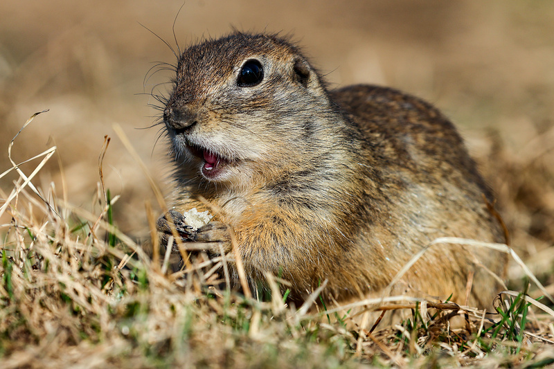 Фото: Эрик Романенко/ТАСС