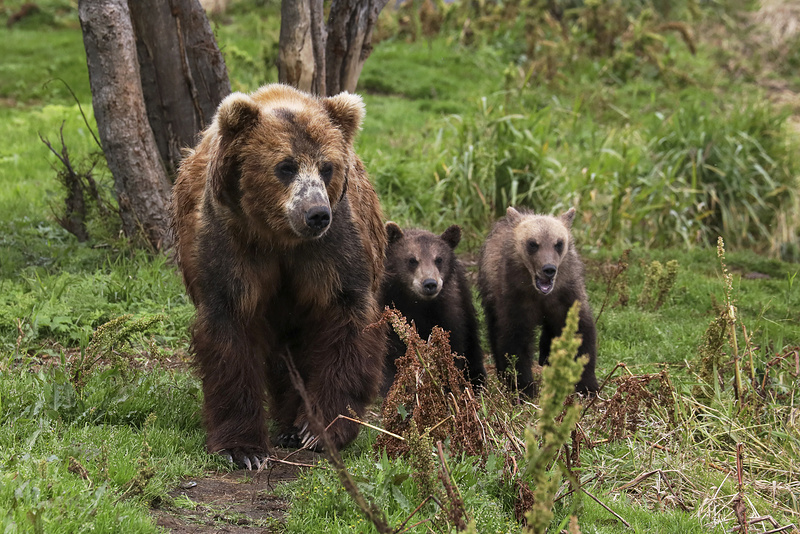 Фото: Екатерина Штукина/ТАСС