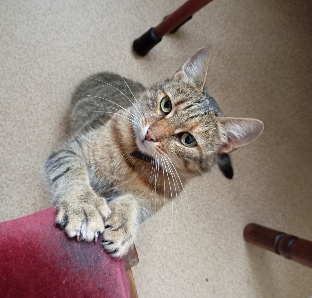 Сеня хочет на ручки :) 