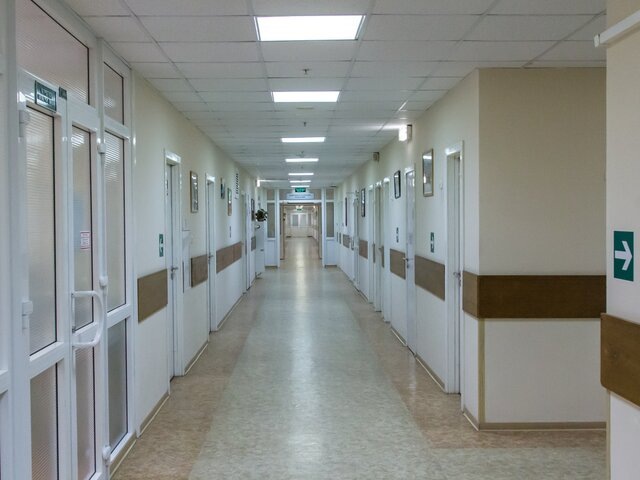    Фото: Москва 24/Юлия Иванко