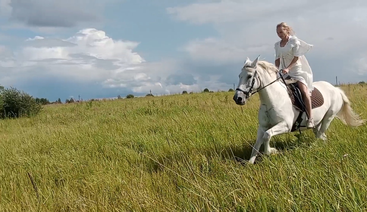 Полёт ветра