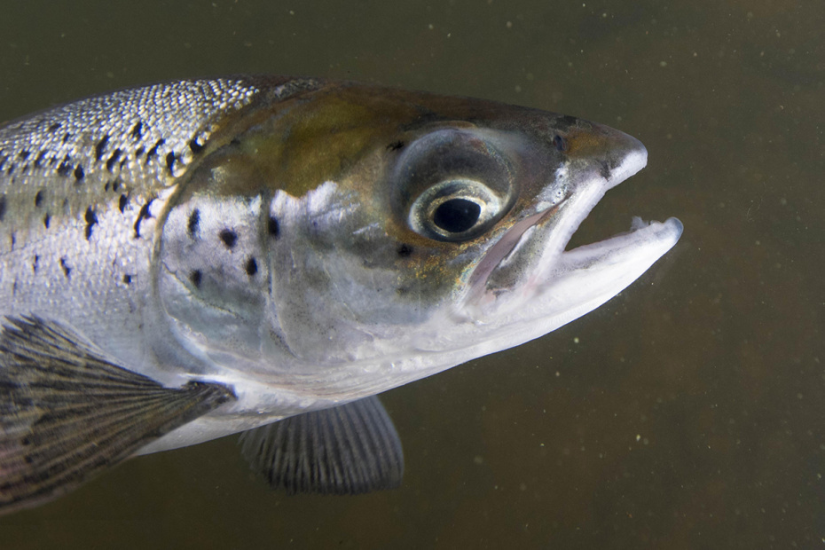    FLPA/Jack Perks/Global Look Press