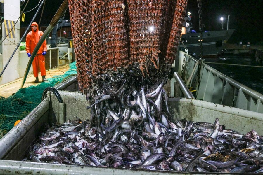     / Источник: © Юрий Смитюк/ТАСС