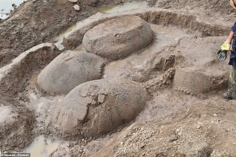 Фото: fishki.net