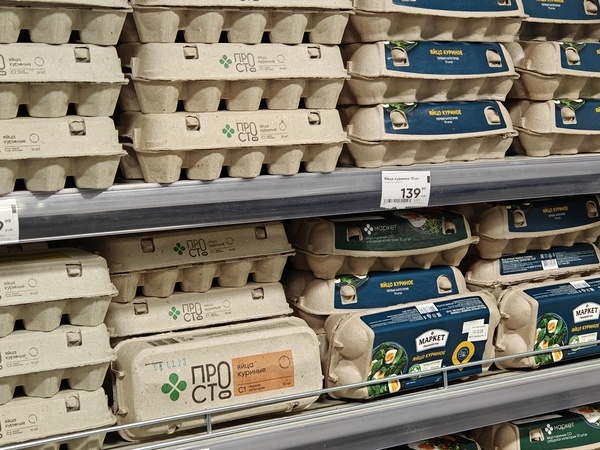    Фото: Юрий Серебренников/BFM Кубань