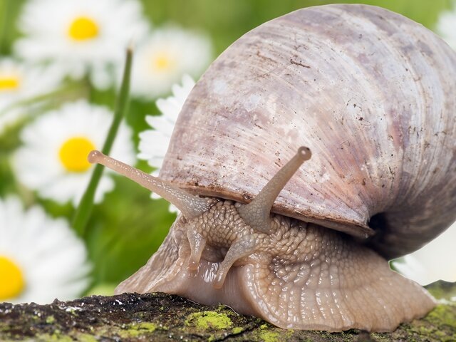    Фото: 123RF/mariok