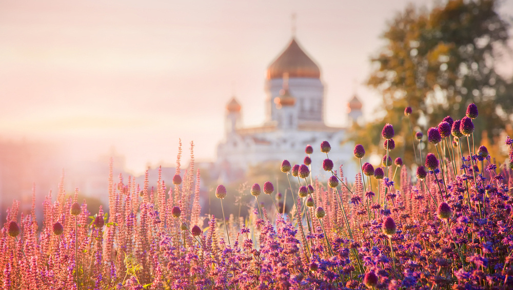     Фото: Julia Shepeleva/Shutterstock/FOTODOM