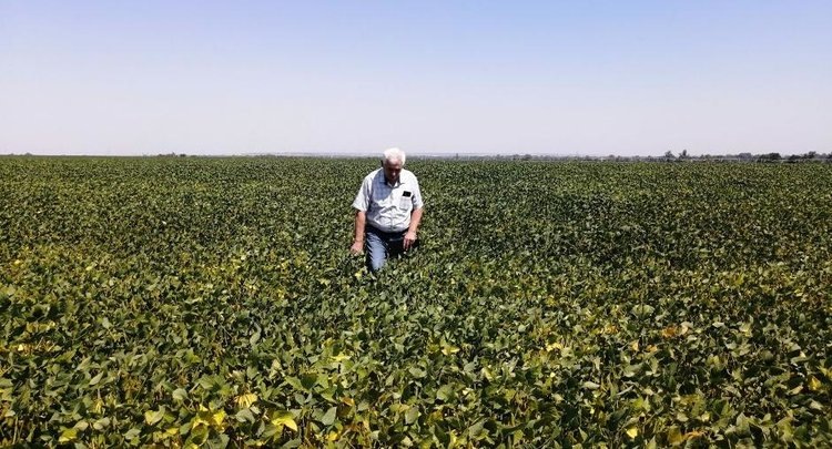    Фото: ФГБУ ЦОК АПК