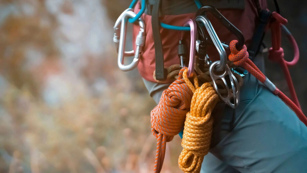    Фото: africa_pink/Shutterstock/Fotodom