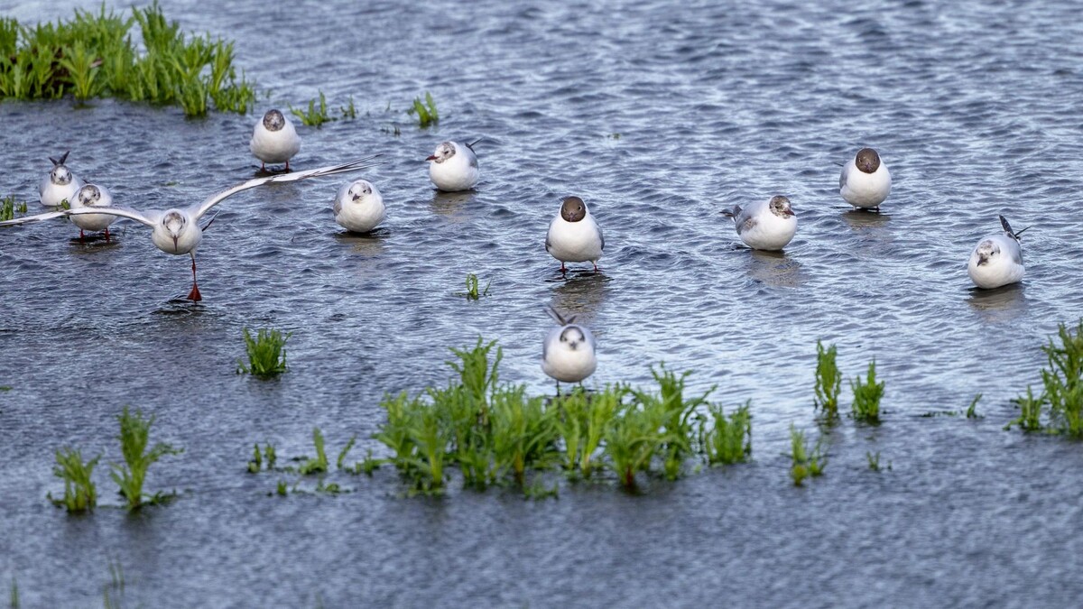   Фото: Фёдор Воронов / «Ямал-Медиа»