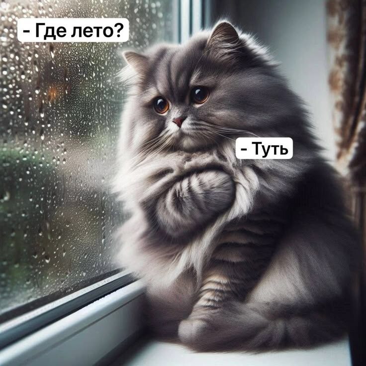 фото из интернета