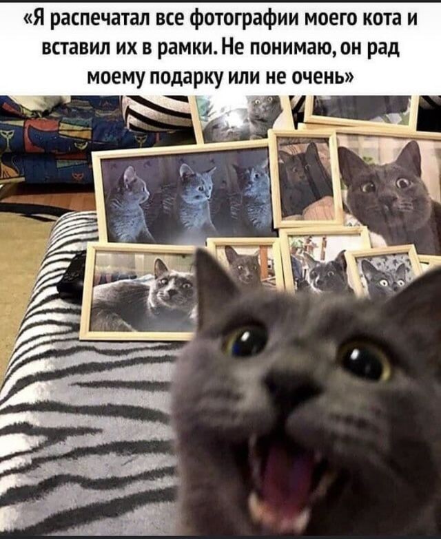  фото из интернета