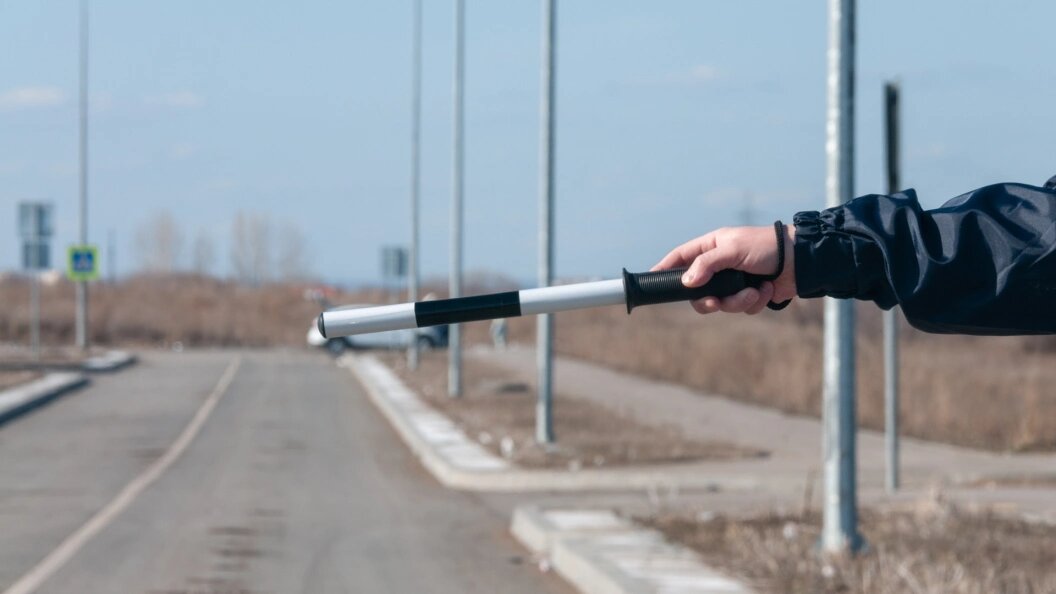    Фото: Svetlana Vozmilova/Globallookpress