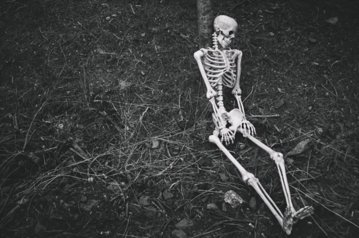    Археологи обнаружили древние артефакты возле Сайдашева в Казани