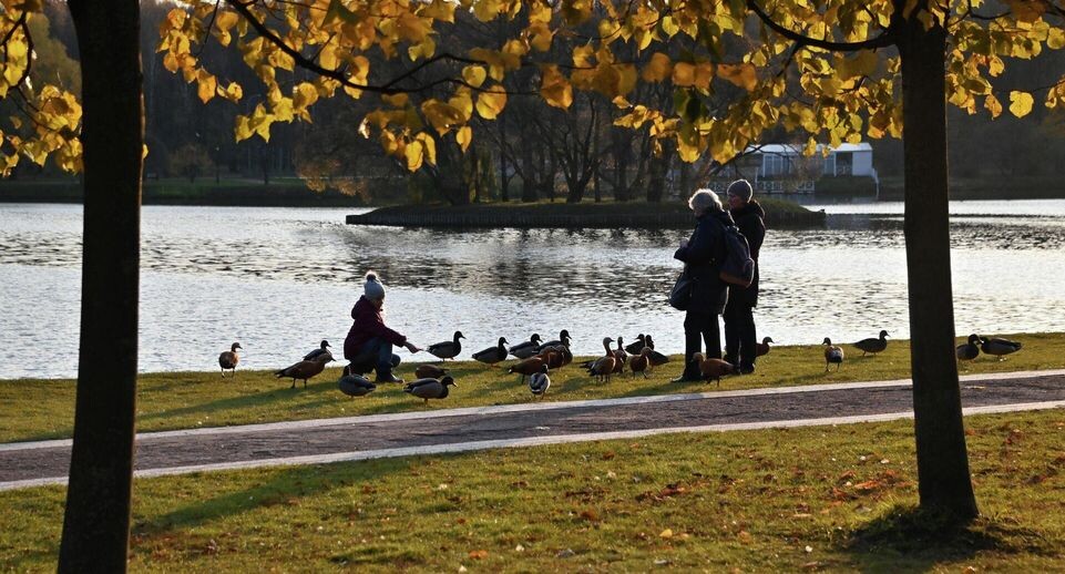    РИА «Новости»