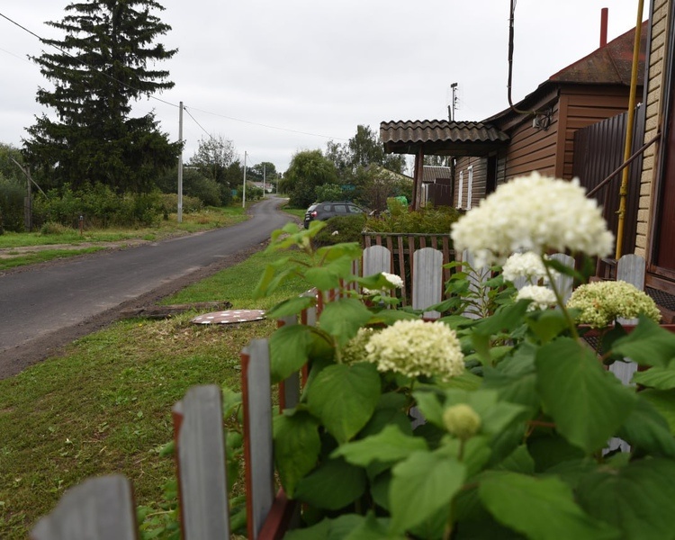     В Курской области 28 августа ожидается потепление до +24 градусов