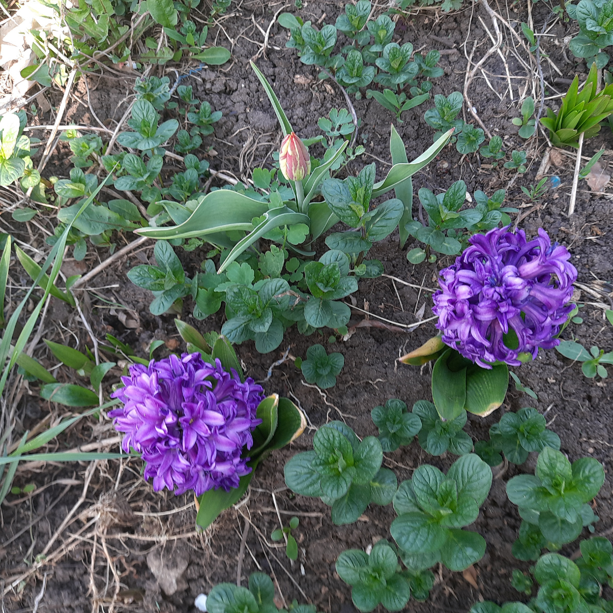 Фото из личного архива