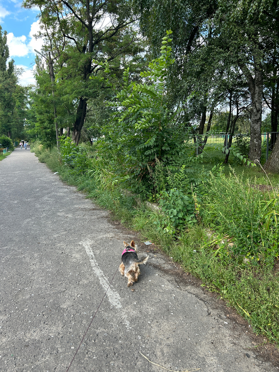 Гуляем с Фросенькой