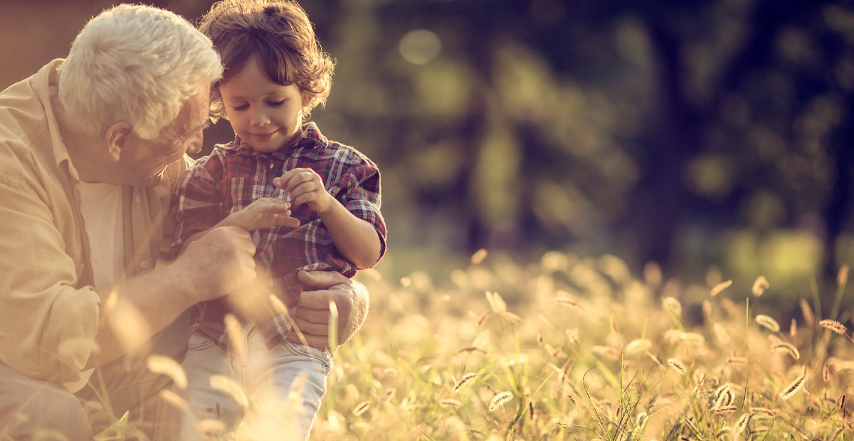 Яндекс. Картинки