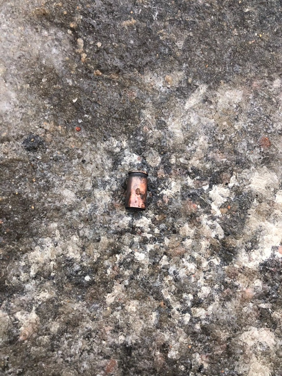    Фото: ГСУ СК по Петербургу