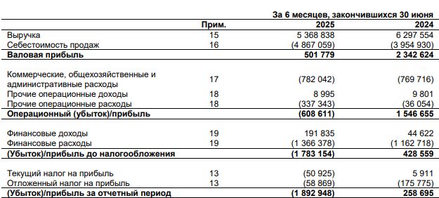 Вуш отчет за 6 месяцев 2025 года