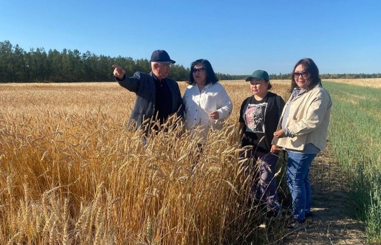    Фото: Министерство сельского хозяйства и продовольственной политики Республики Саха Якутия