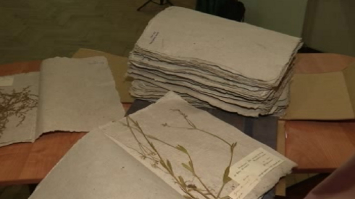    Из фондов Курского краеведческого музея представили уникальную коллекцию гербария