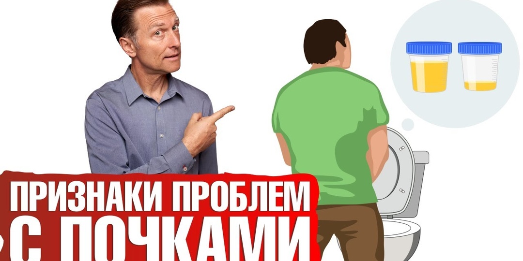 4 ранних признака почечной недостаточности