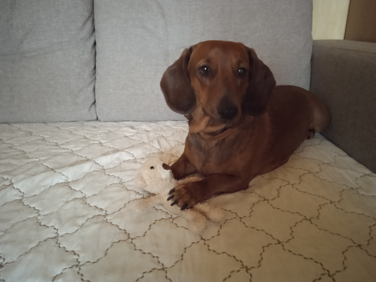 Обсудим комментарий?