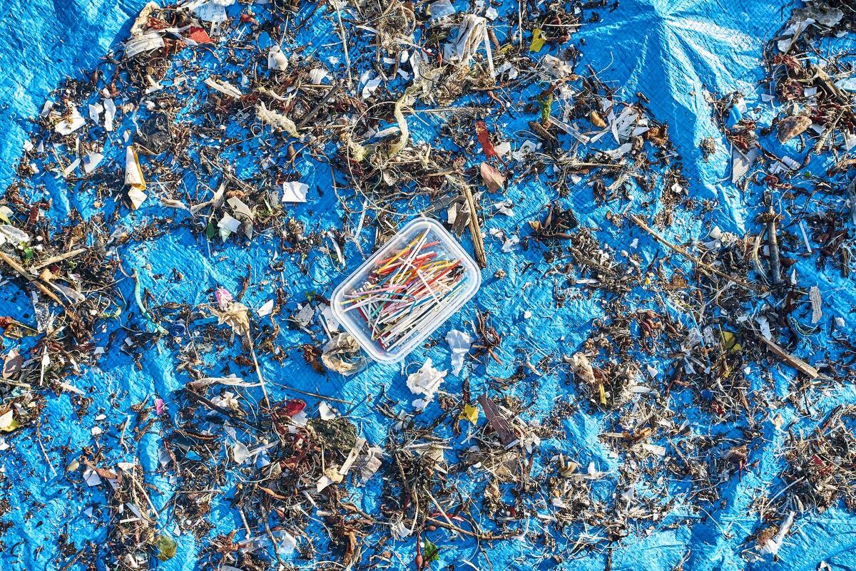 📸 Александр Емельянов / ЗКК