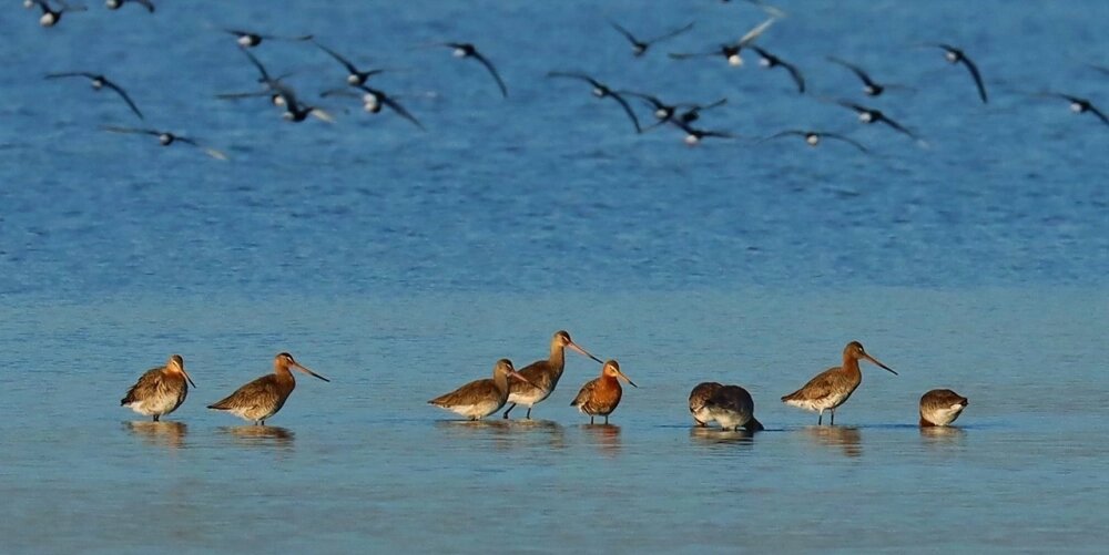    Фото: АиФ-Крым/ Григорий Прокопов