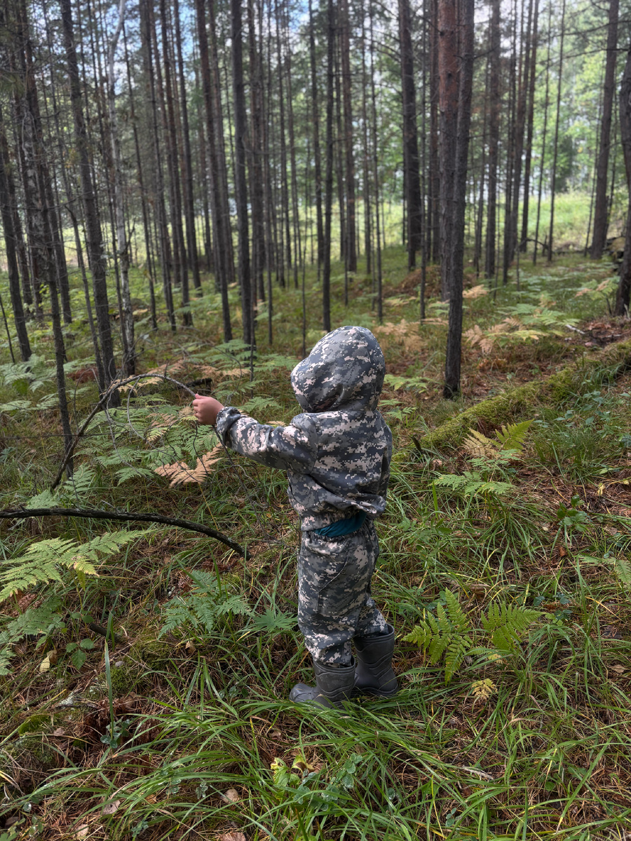 Только приехали в лес 