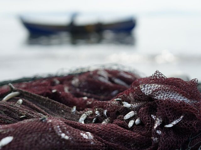    Фото: 123RF/hmardinal