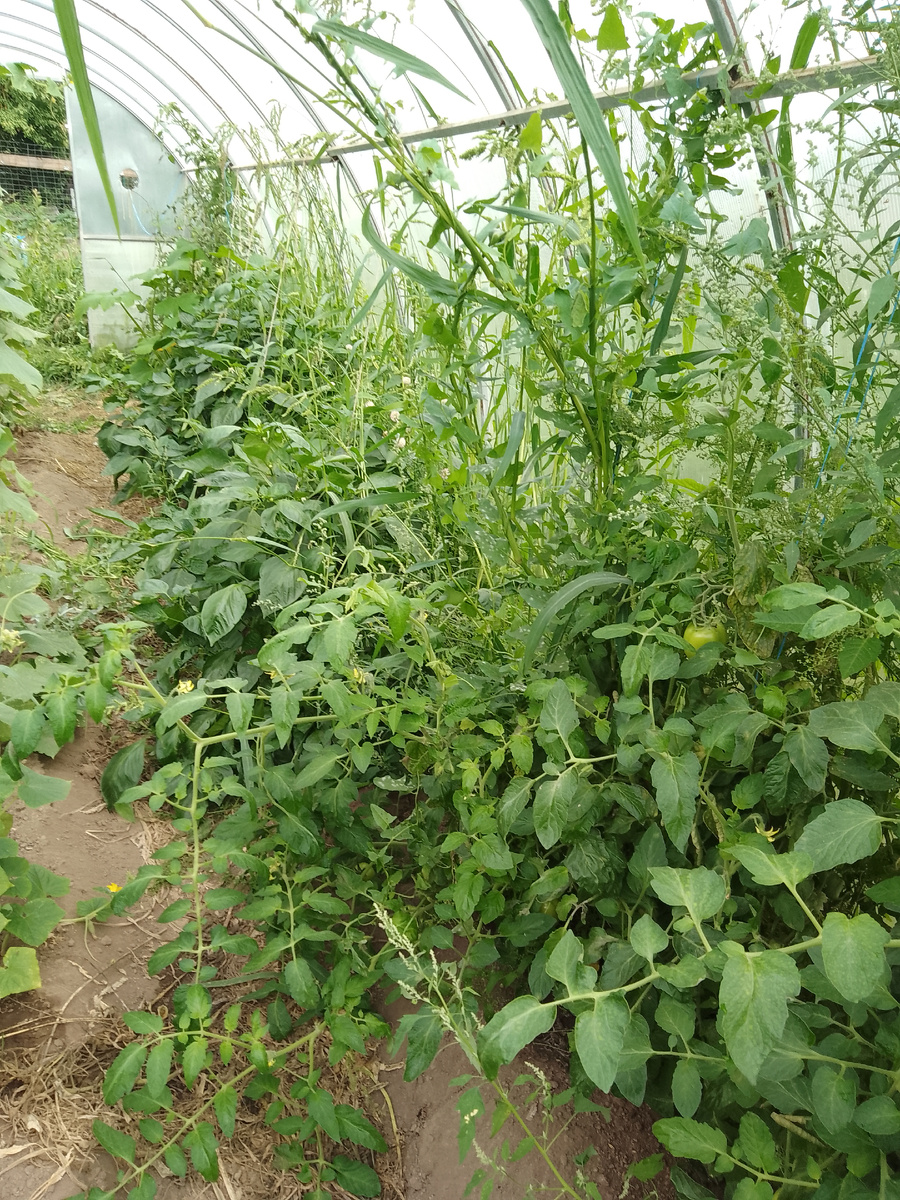 Эта сторона на десерт😊