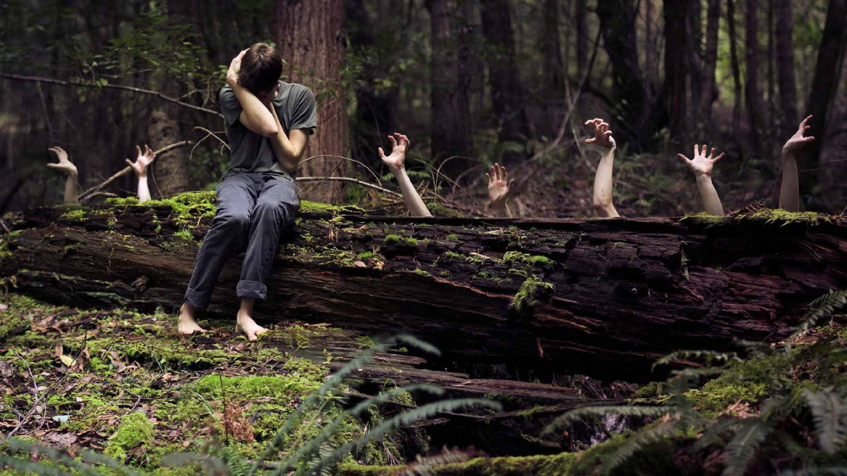 картинка из интернета