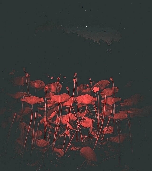    Фото: соцсети.