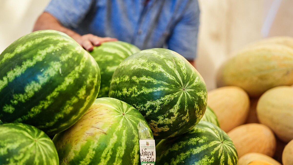    Фото: ИЗВЕСТИЯ/Сергей Лантюхов