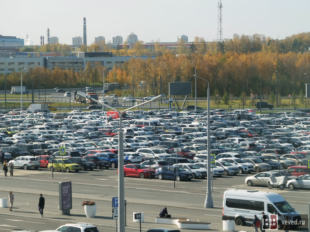     Фото: Владислав Постников / Вечерние ведомости