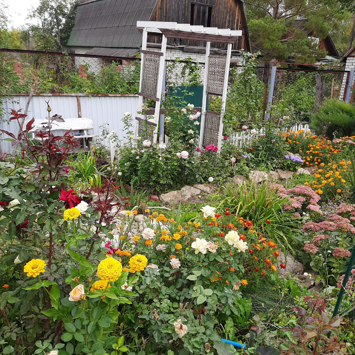 Сентябрь на даче