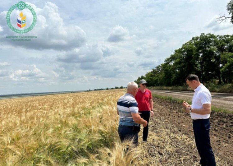    Фото: Минсельхоз Республики Калмыкия