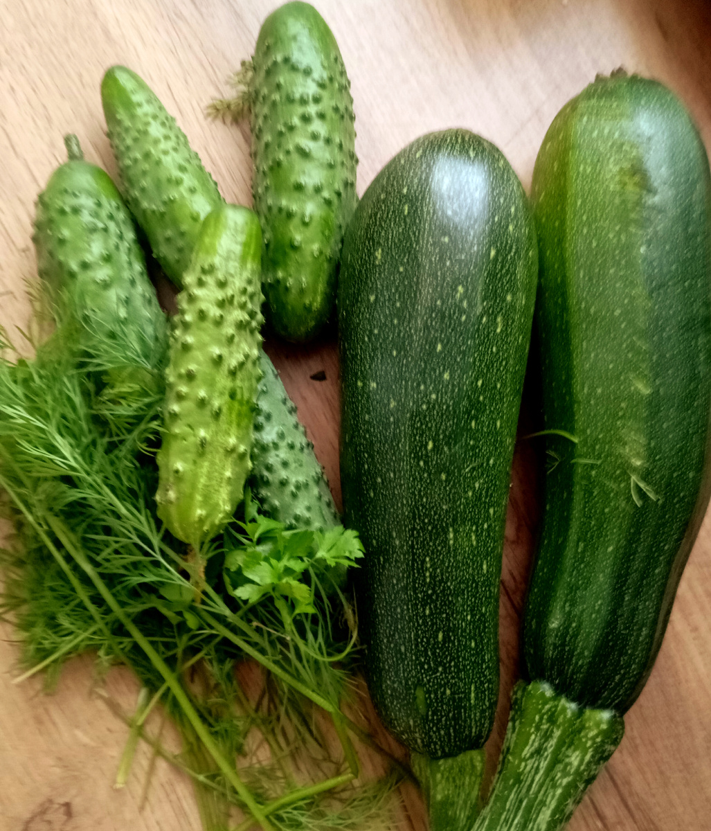 Цукини и огурчики собираю ежедневно