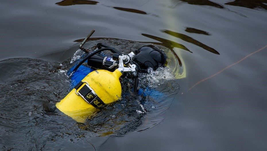    Автор фото: Ермохин Сергей/"ДП"