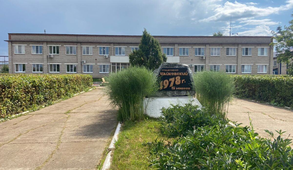     АО "Птицефабрика Чайковская". Источник: dixinews.ru Автор фото: Никита Белых