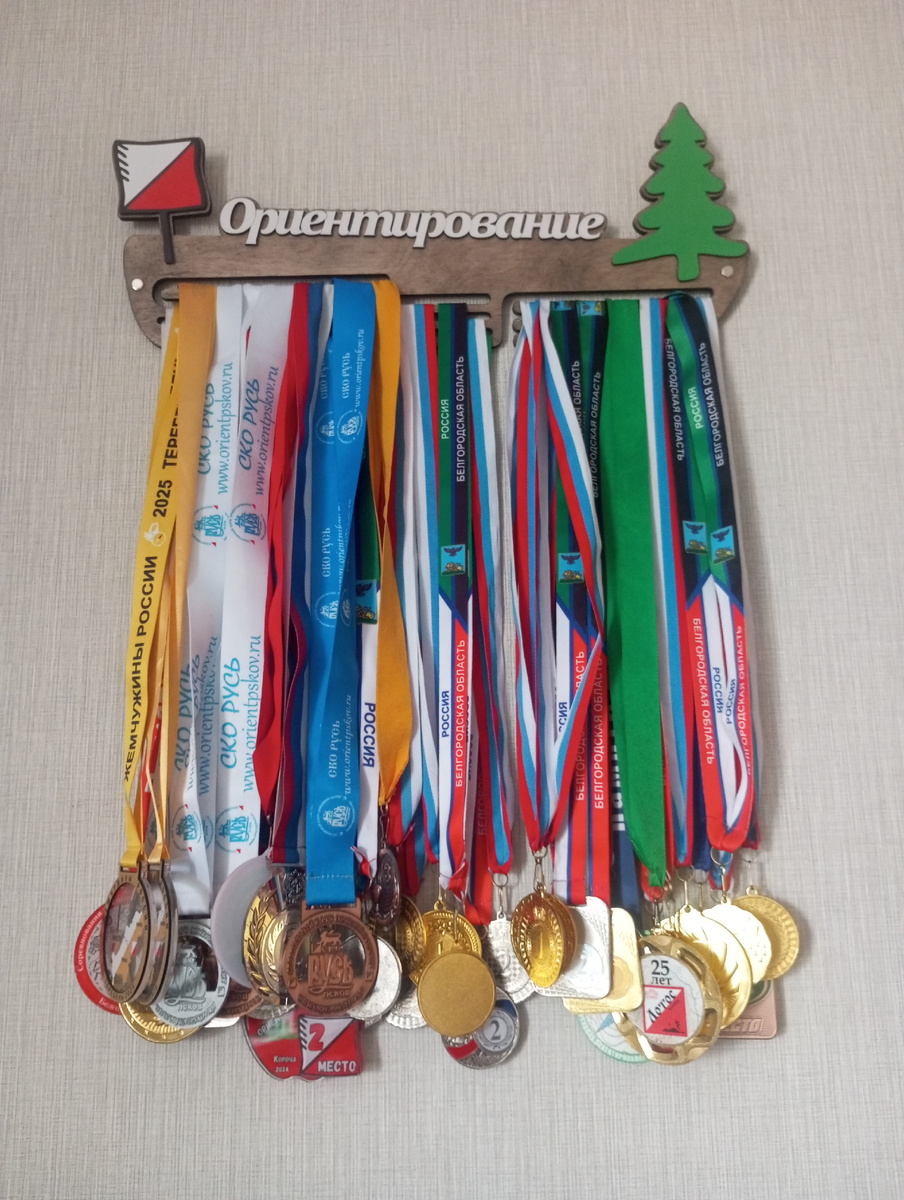 Моя медальница