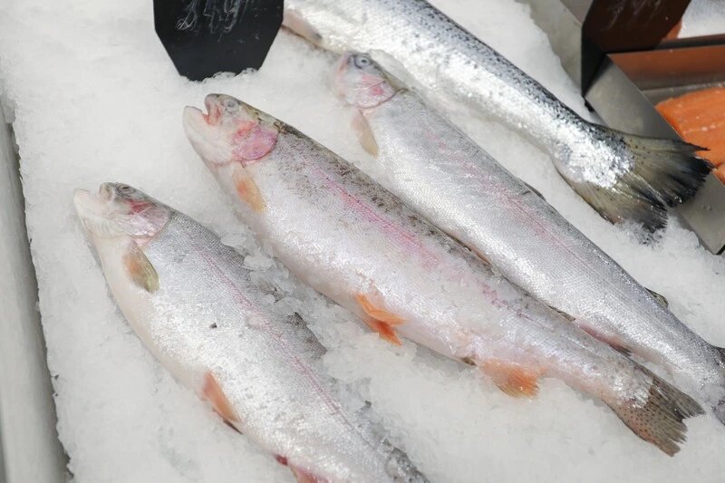      Фото: Дмитрий Ахмадуллин / / ИА «Победа26»